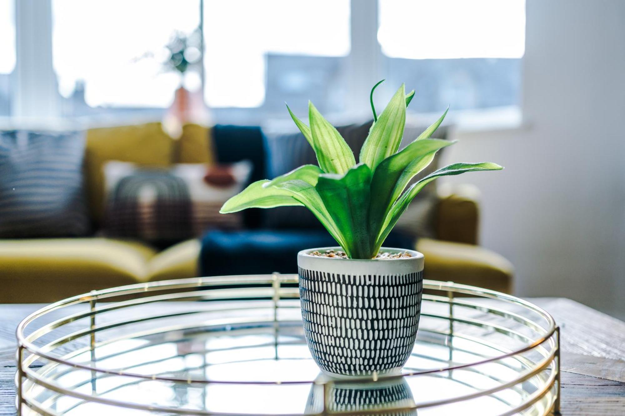 Boutique Flat 2 In Harrogate - Sleeps 8